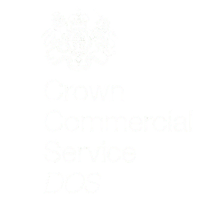 Cyber Essentials Logo 04